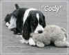 Photo of English Springer Spaniel BISS Ch Suncoast Covert Operator 'Cody'